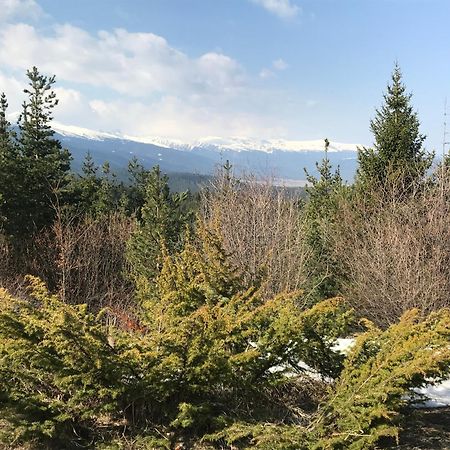 Borovets Hills Apartments - Evergreen Suite Exterior photo